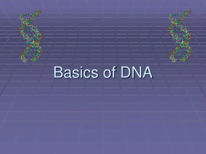 basics of dna