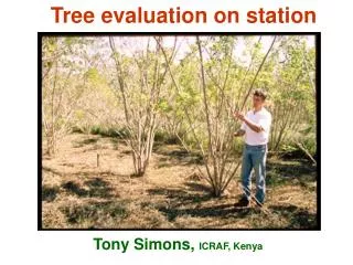 Tree evaluation on station