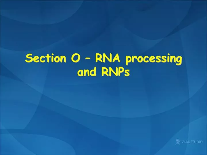 section o rna processing and rnps