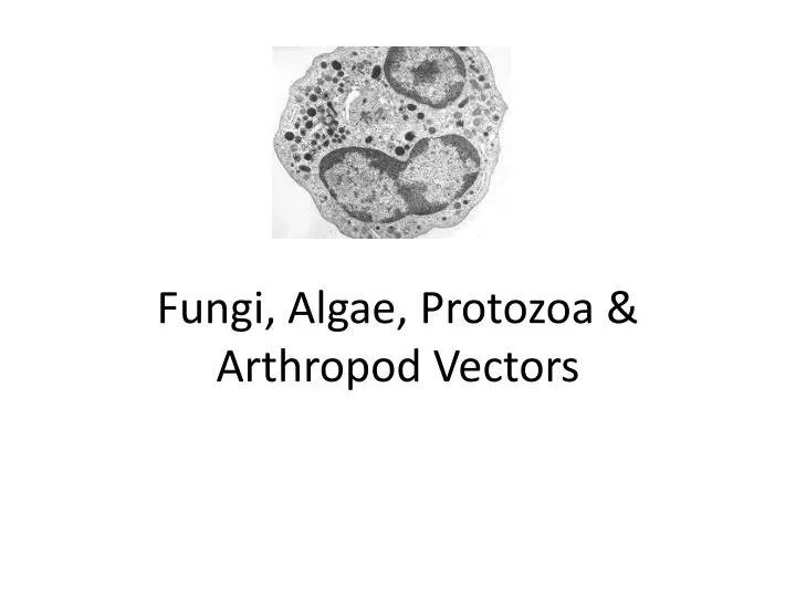 fungi algae protozoa arthropod vectors