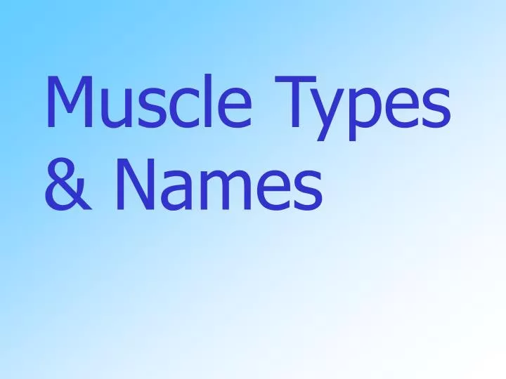 muscle types names