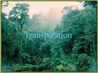 Transpiration