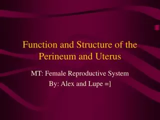 Function and Structure of the Perineum and Uterus