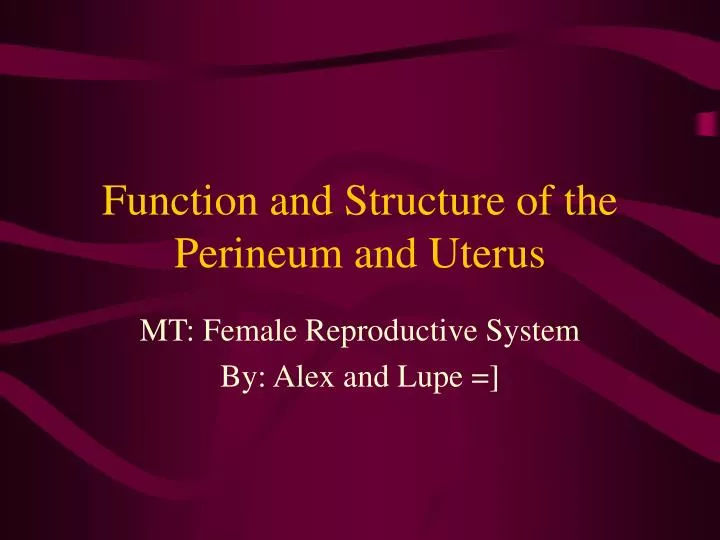 function and structure of the perineum and uterus