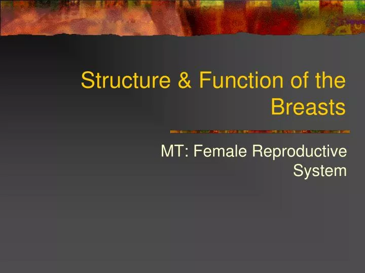 structure function of the breasts