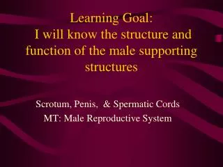 Learning Goal: I will know the structure and function of the male supporting structures