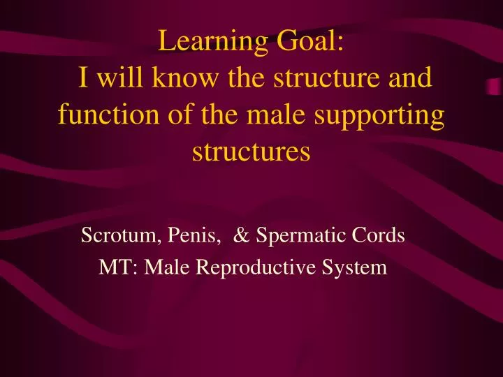 learning goal i will know the structure and function of the male supporting structures