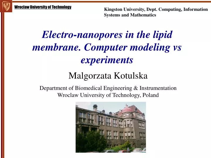 electro nanopores in the lipid membrane computer modeling vs experiments