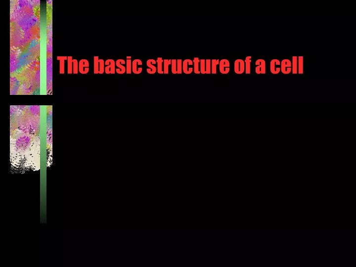 the basic structure of a cell