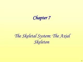 Chapter 7 The Skeletal System: The Axial Skeleton