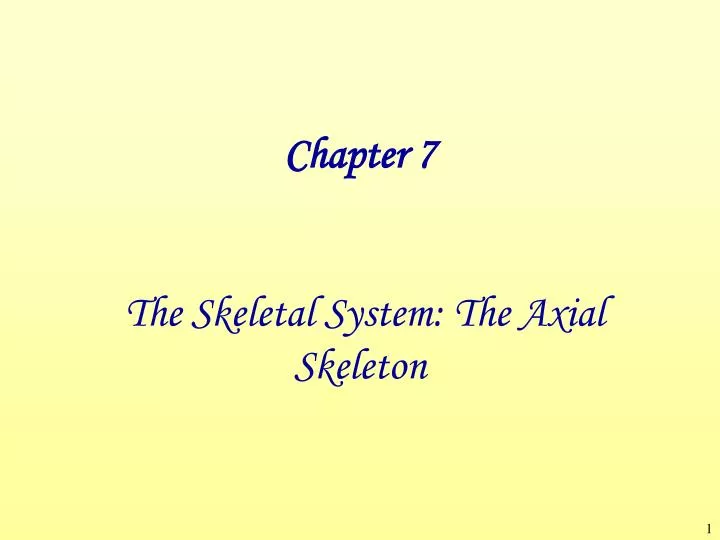 chapter 7 the skeletal system the axial skeleton