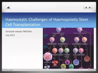 Haemostatic Challenges of Haemopoietic Stem Cell Transplantation