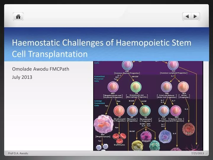 haemostatic challenges of haemopoietic stem cell transplantation