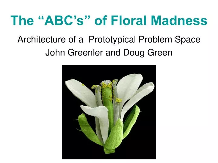 the abc s of floral madness