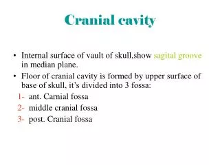 Cranial cavity