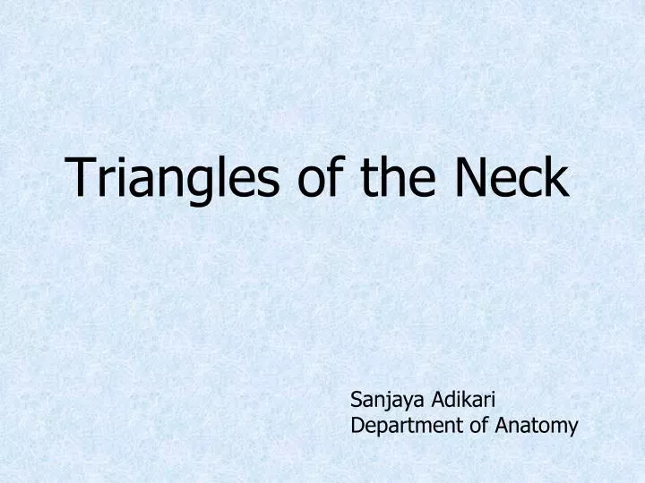 triangles of the neck