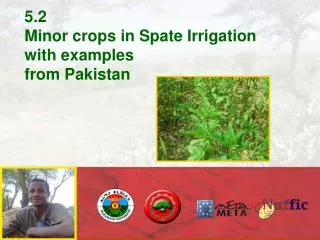 5.2 Minor crops in Spate Irrigation with examples from Pakistan