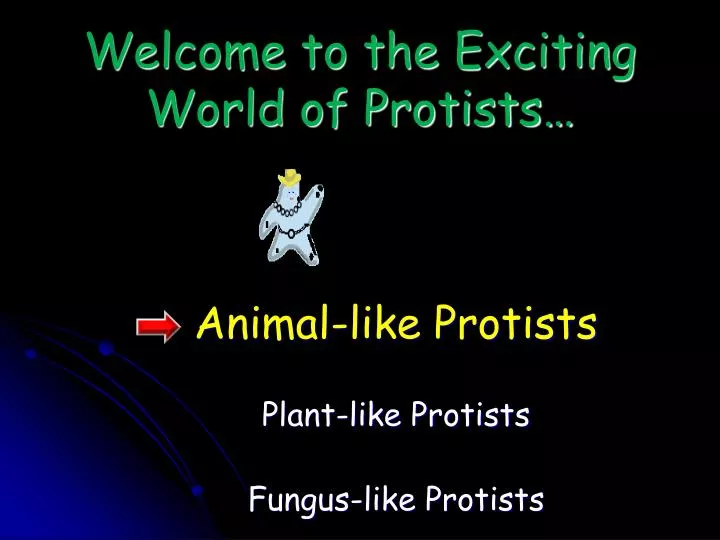 welcome to the exciting world of protists
