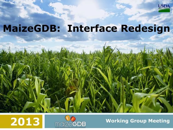 maizegdb interface redesign