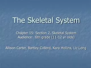 The Skeletal System