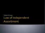 Law of Independent Assortment - slide 1