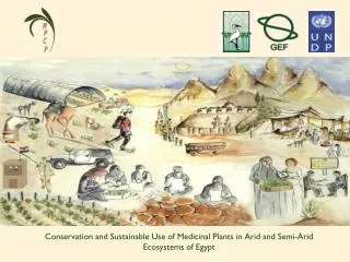 Conservation and Sustainable Use of Medicinal Plants in Arid and Semi-Arid Ecosystems of Egypt