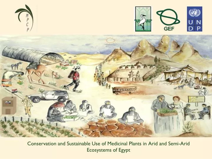 conservation and sustainable use of medicinal plants in arid and semi arid ecosystems of egypt