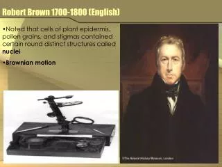 Robert Brown 1700-1800 (English)