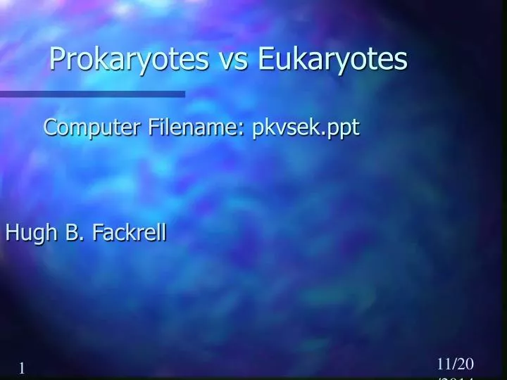 prokaryotes vs eukaryotes