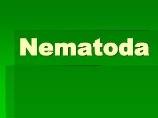 nematoda