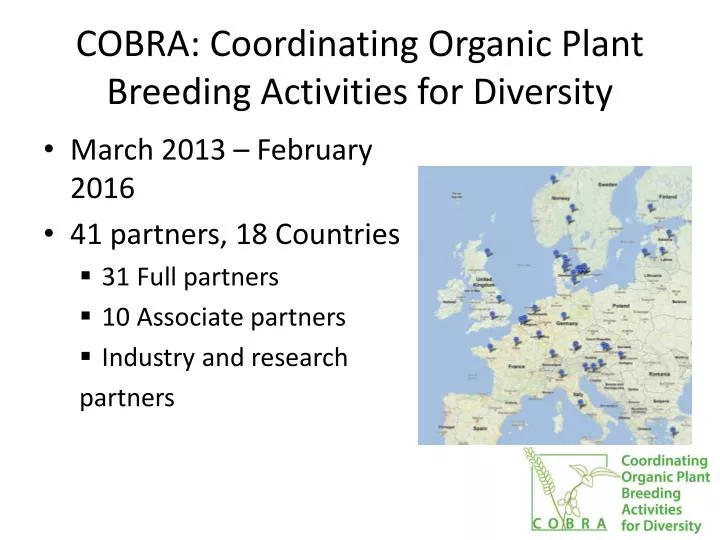 cobra coordinating organic plant breeding activities for diversity