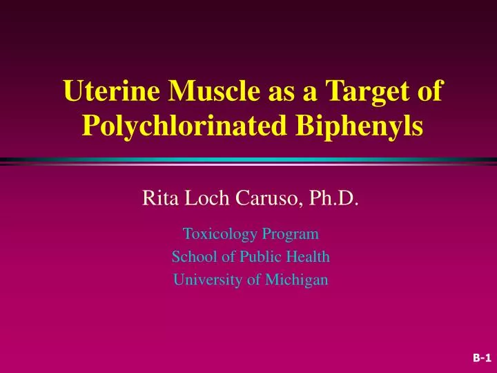 uterine muscle as a target of polychlorinated biphenyls