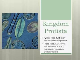 Kingdom Protista