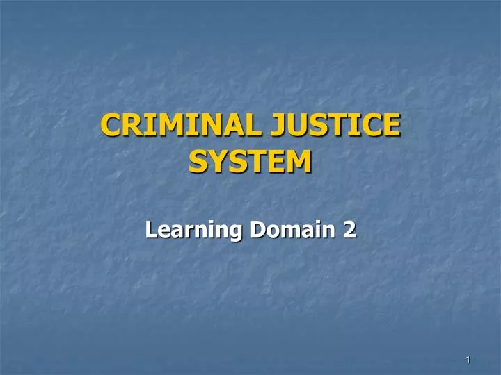 criminal justice system