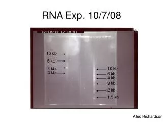 rna exp 10 7 08