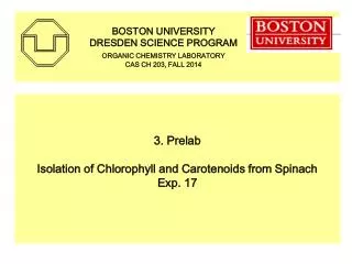3. Prelab Isolation of Chlorophyll and Carotenoids from Spinach Exp. 17