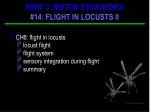 CH6: flight in locusts locust flight flight system sensory integration during flight summary - slide 1
