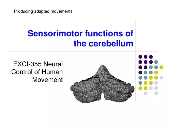sensorimotor functions of the cerebellum