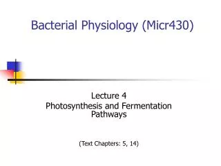 Bacterial Physiology (Micr430)