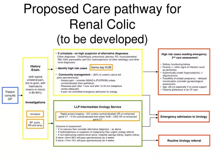 proposed care pathway for renal colic to be developed