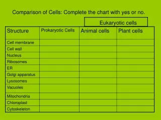 Comparison of Cells: Complete the chart with yes or no.