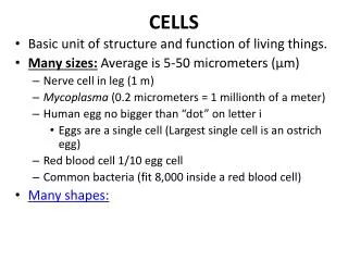 CELLS