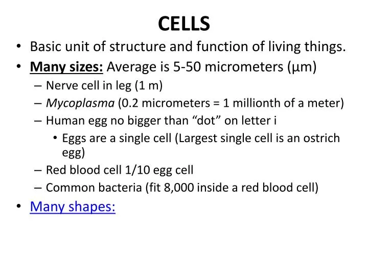 cells