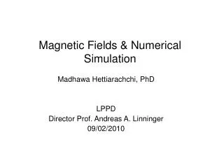 Magnetic Fields &amp; Numerical Simulation