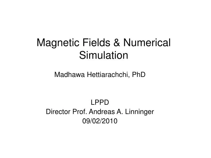 magnetic fields numerical simulation