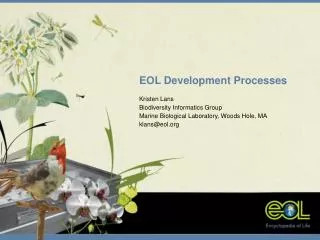 EOL Development Processes Kristen Lans Biodiversity Informatics Group
