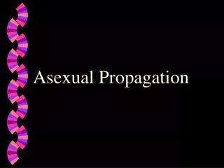 asexual propagation