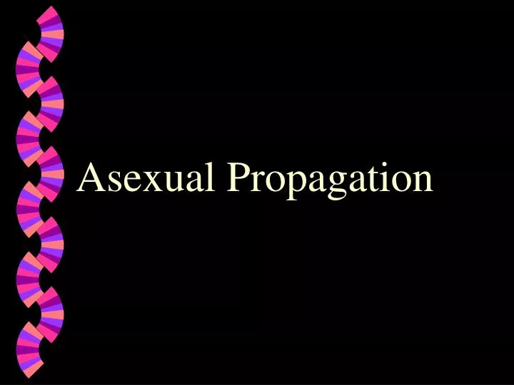 asexual propagation
