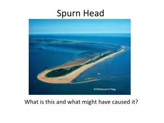 Spurn Head