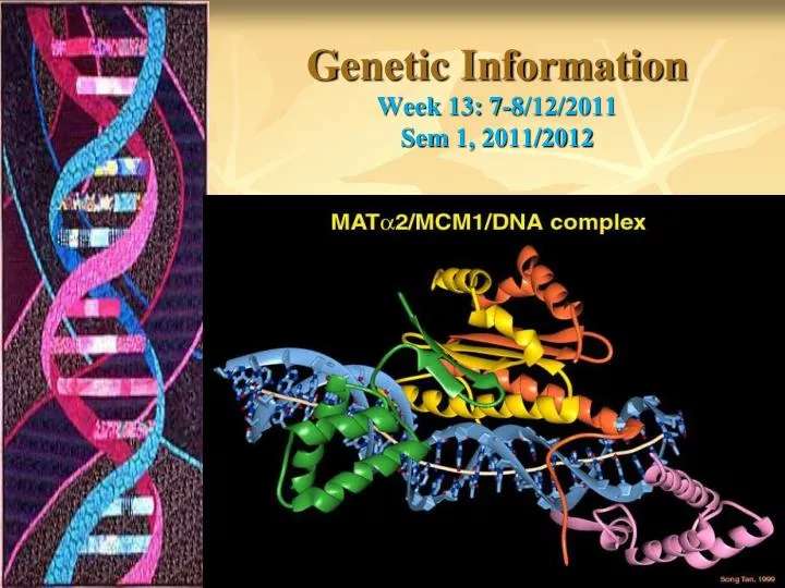 genetic information week 13 7 8 12 2011 sem 1 2011 2012